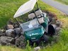 Hækka aldurstakmark til leigu á golfbílum í kjölfar óhapps